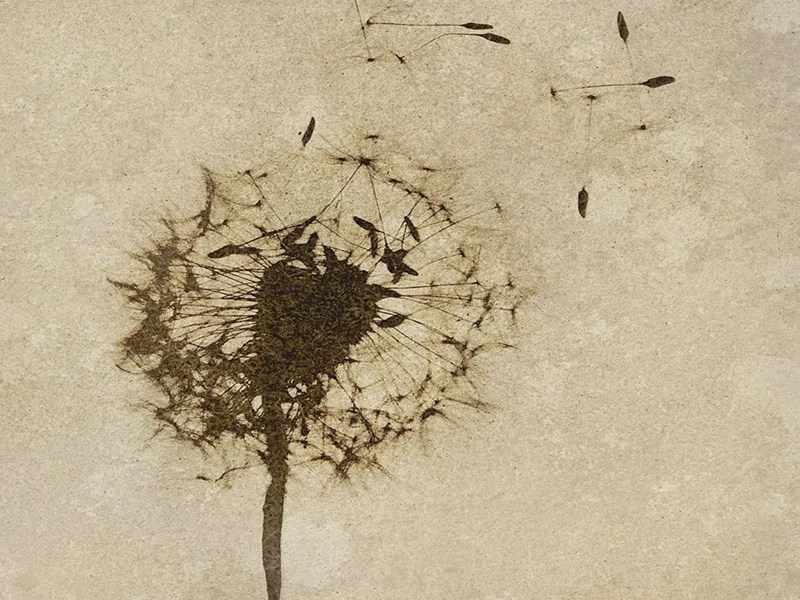 The Three Circles of a Great Photograph 