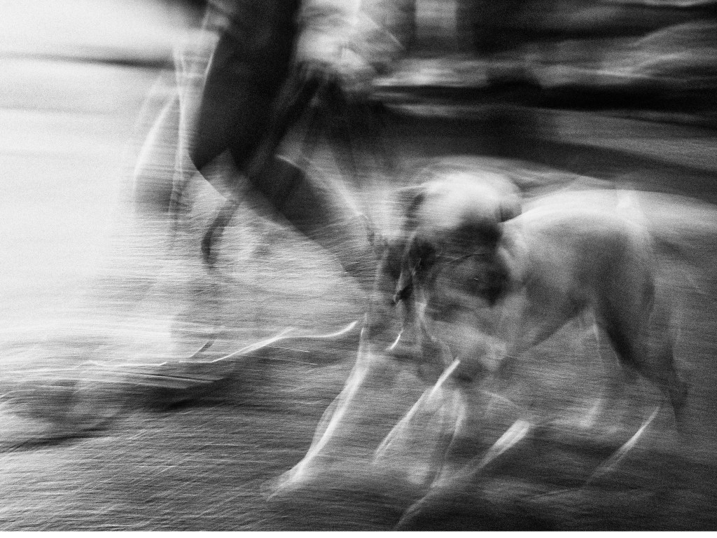 You Can’t Buy Photographic Excellence