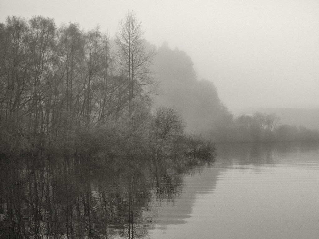 Landscapes and the&nbsp;Performance